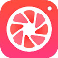 柚子相机安卓版软件图标