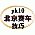 北京赛车PK10技巧软件图标