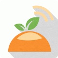 橙子网软件图标