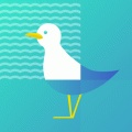 海鸥影社软件图标