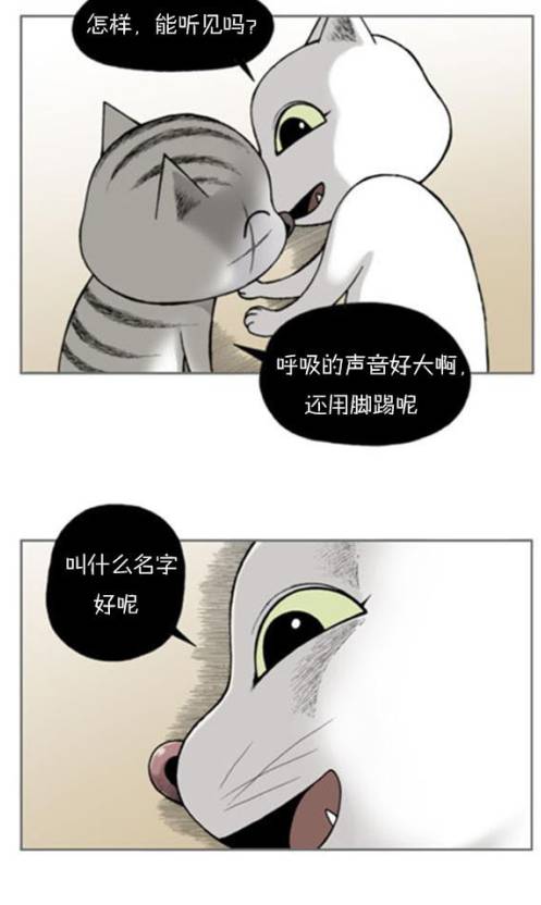 动物园真相全集漫画游戏截图5