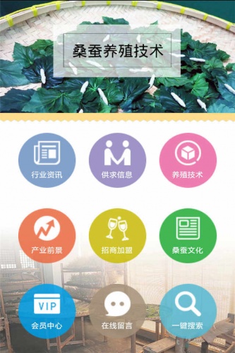 桑蚕游戏截图2