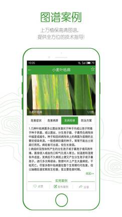 丰收邦游戏截图1