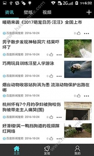 宠物专区游戏截图2