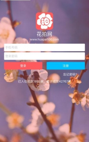 花拍网游戏截图1