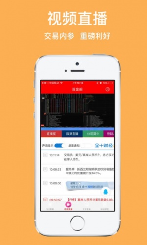 股金阁游戏截图3