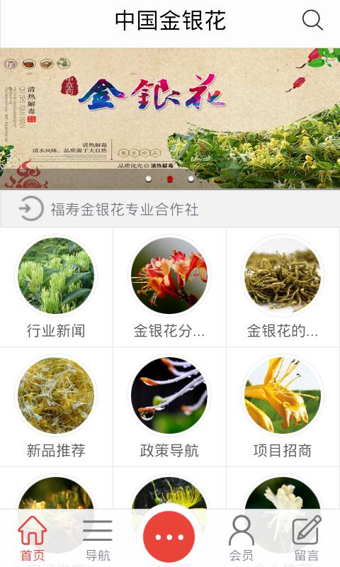 金银花游戏截图4