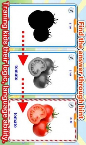 蔬菜学习卡游戏截图2