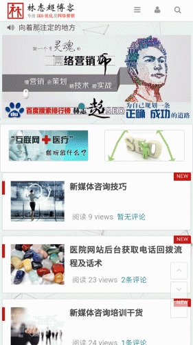 林志超SEO游戏截图1