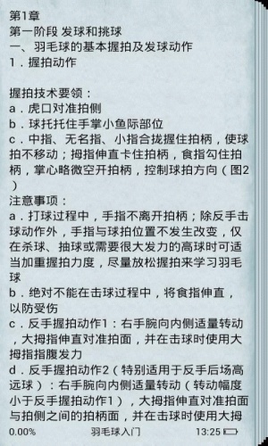 羽毛飞球游戏截图3