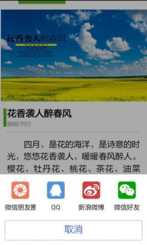 远方的家游戏截图2