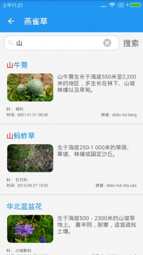 燕雀草游戏截图3