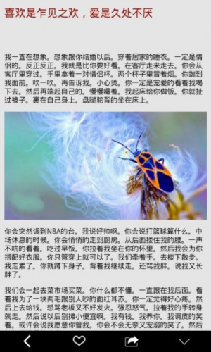 风吹萤火游戏截图1