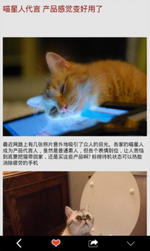 大小猕猴桃游戏截图2