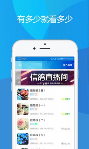 顺达信鸽游戏截图1