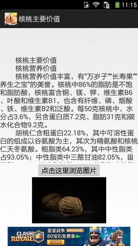 核桃图文资料游戏截图4