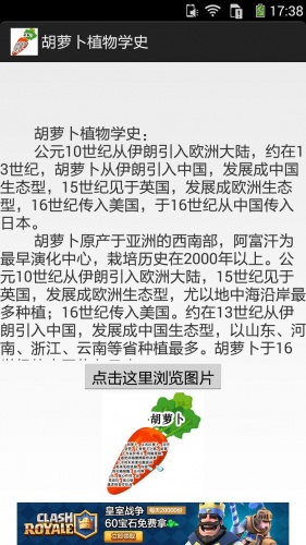 胡萝卜图文资料游戏截图3