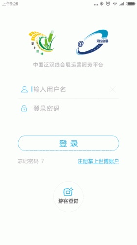 双线会展游戏截图4