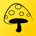 蘑菇丁软件图标