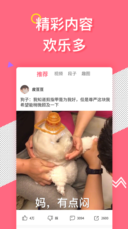 皮豆软件截图2