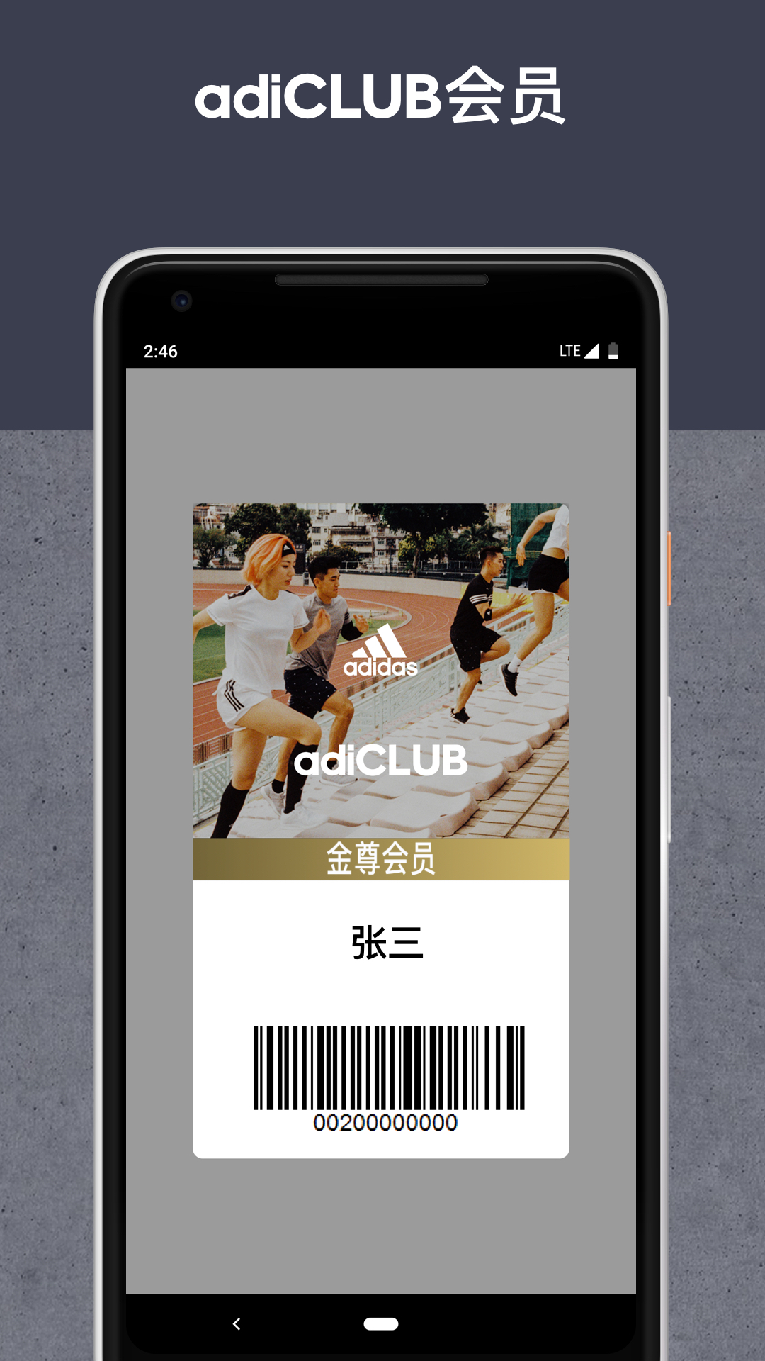 adidas游戏截图4